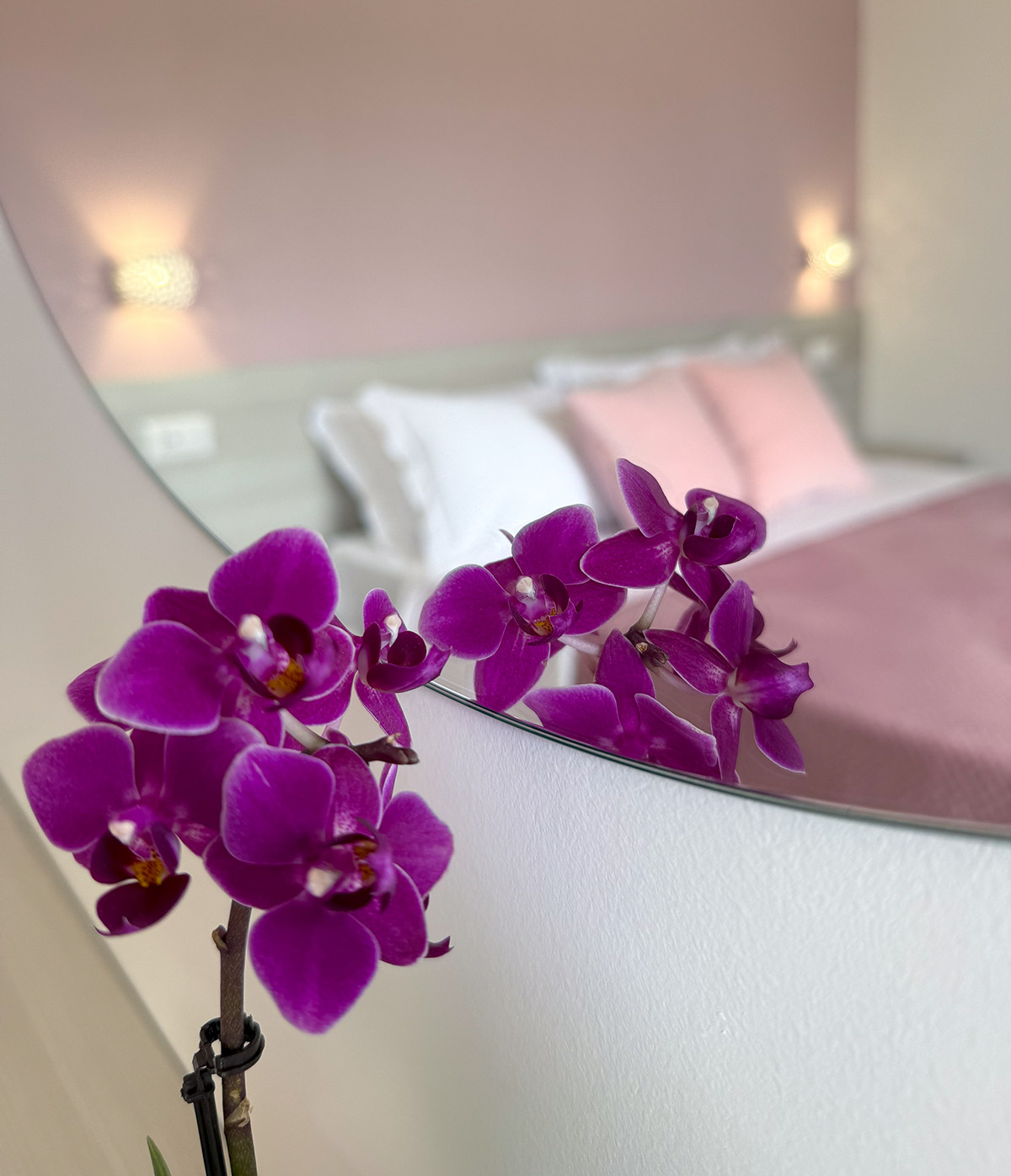 bed & breakfast casal velino e pioppi